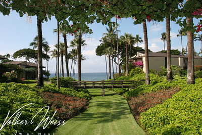 Wailea Elua